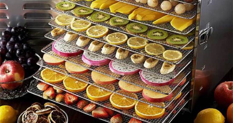 چطور کسب و کار میوه خشک را راه اندازی کنیم؟ 